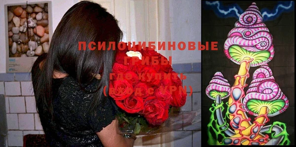 mix Абаза