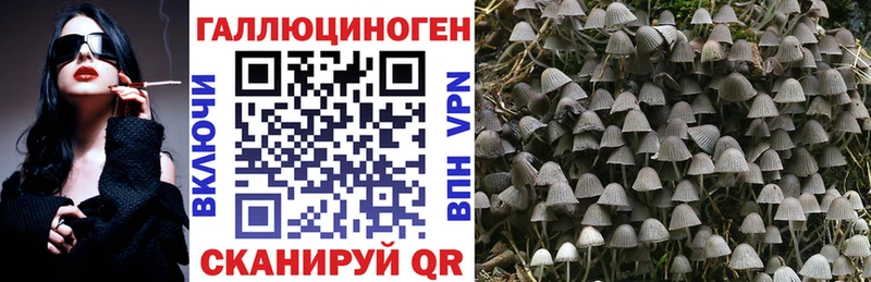 Псилоцибиновые грибы мухоморы  дарнет шоп  Среднеколымск 